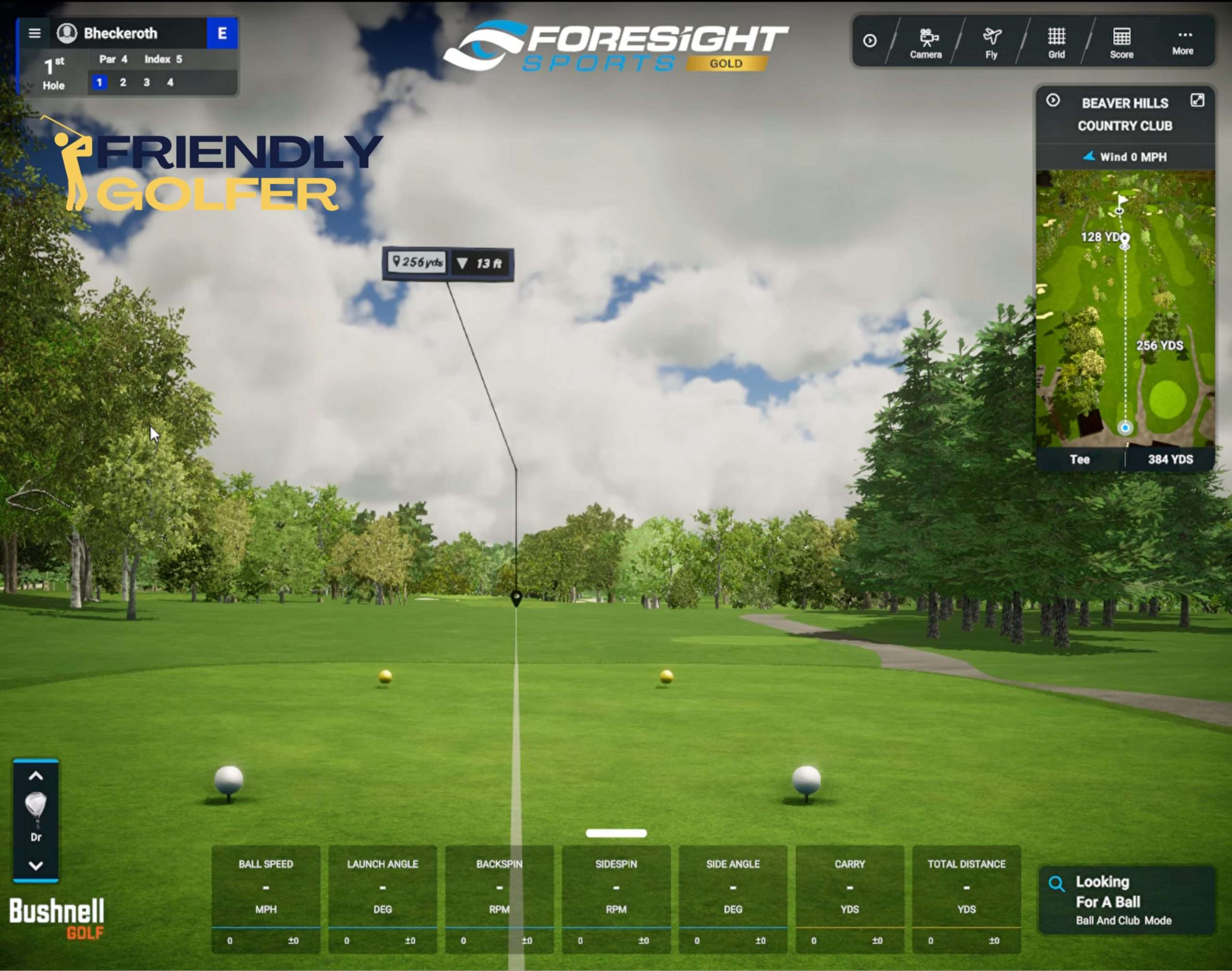 FSX Play golf simulation software